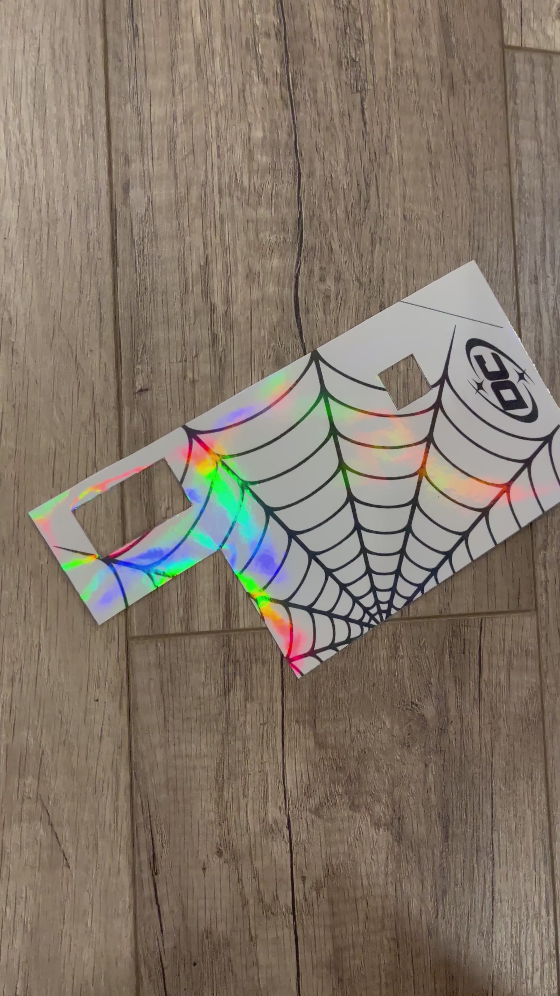 Ridstar Fork Decal - Spiderweb black and white