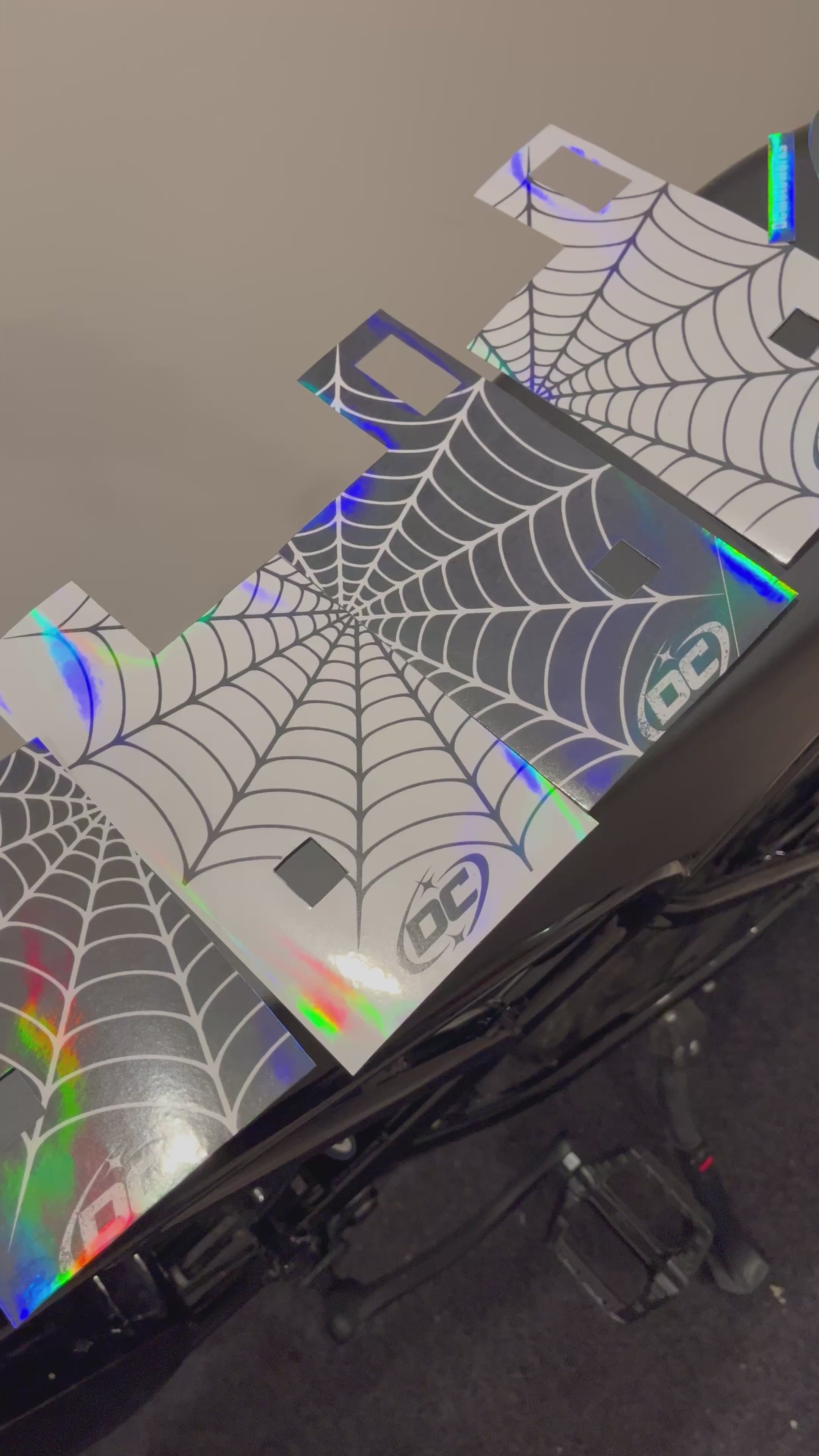 Ridstar Fork Decal - Spiderweb black and white