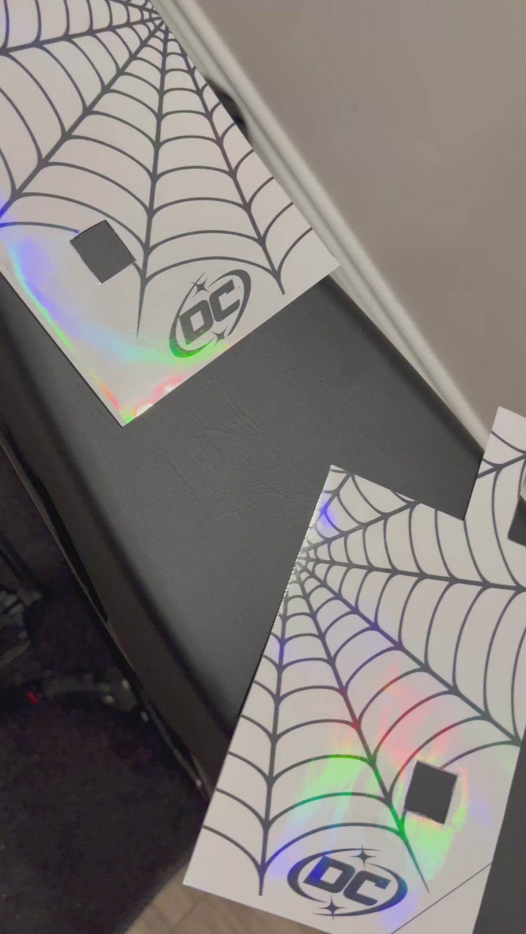 Ridstar Fork Decal - Spiderweb black and white
